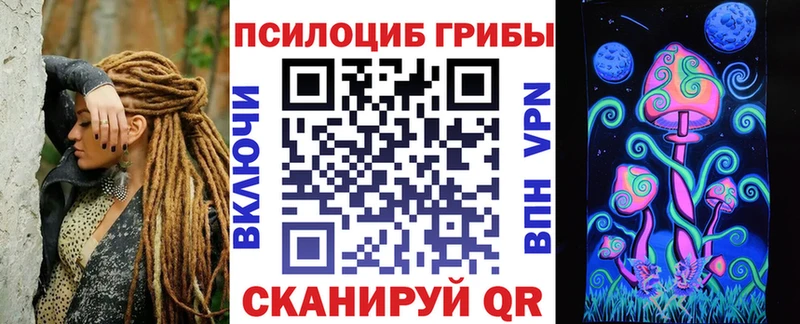 Псилоцибиновые грибы прущие грибы  Чехов 